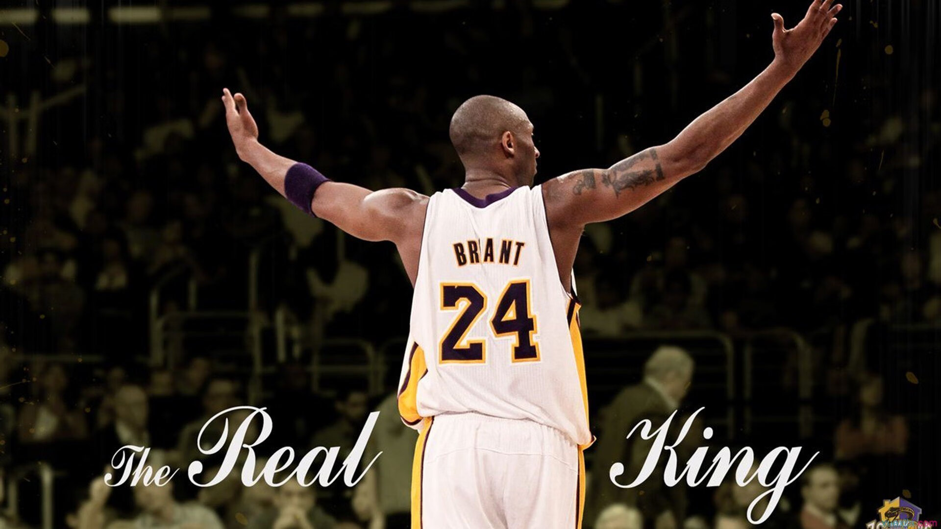 kering.com-卢卡·东契奇在西班牙观看篮球比赛，球迷关注其瘦身效果，卢卡·东契奇视频